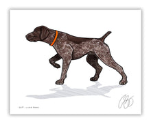 German Shorthaired Pointer Print