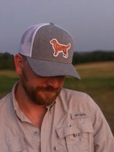 Golden Retriever Hat