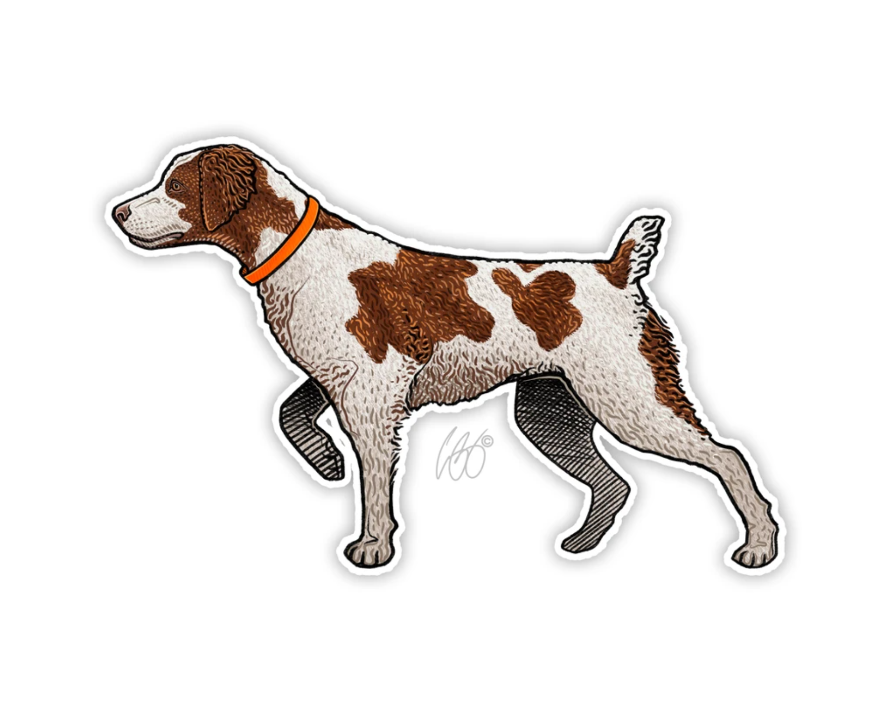 Brittany Decal Sticker | Bird Dog of the Day