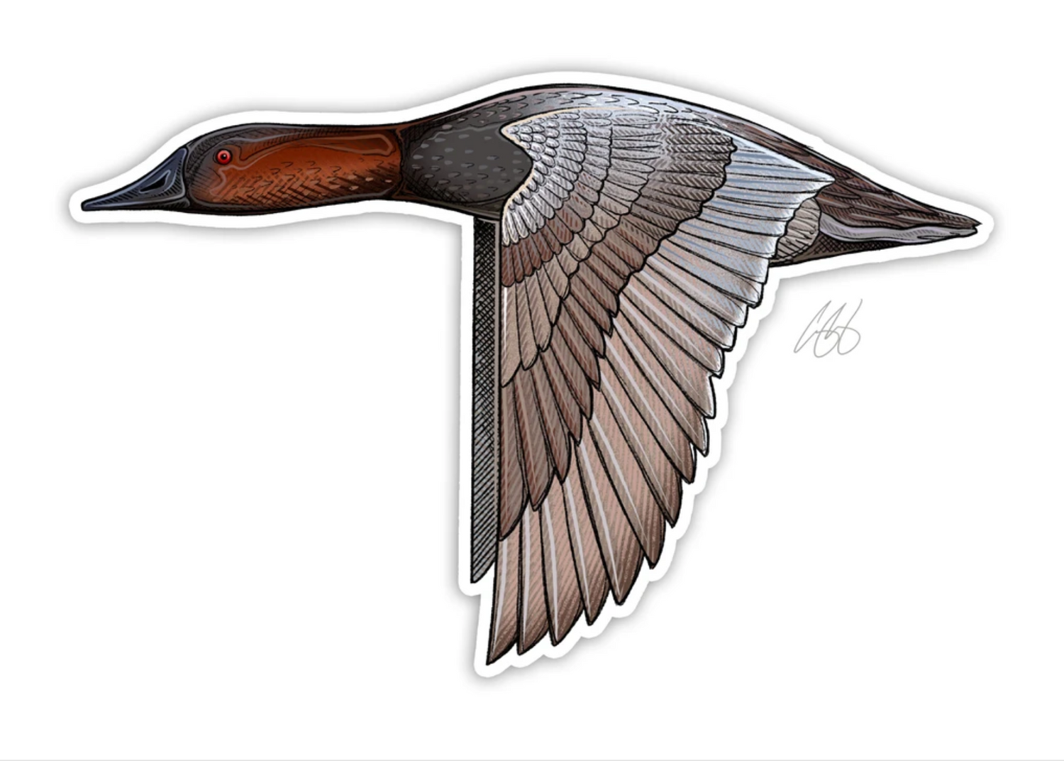 Canvasback Decal Sticker