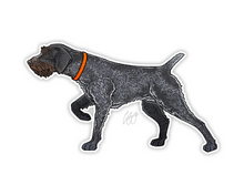 German Wirehaired Pointer Decal Sticker