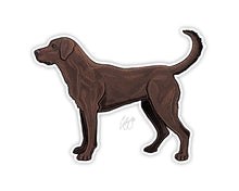 Chocolate Lab Decal Sticker