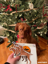 Photo of a Vizsla dog at a Christmas tree looking at some Vizsla decal stickers in a person's hand.