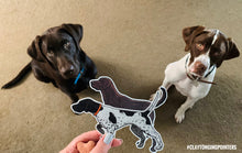 Chocolate Lab Decal Sticker and a Chocolate Lab dog looking at it.