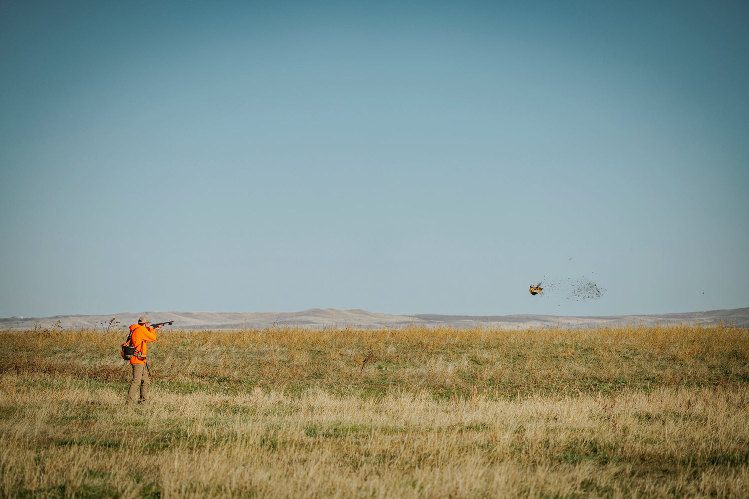 Prairie Chicken Hoodie