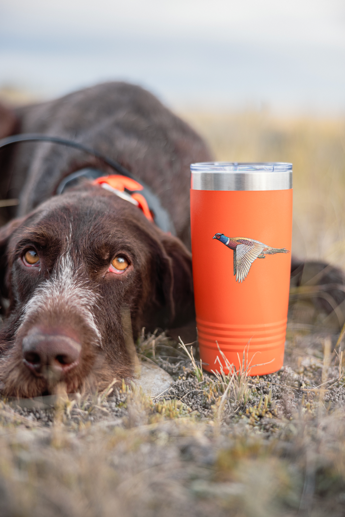 20 oz Pheasant Tumbler