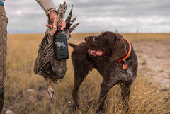 12 oz German Wirehaired Pointer Can Cooler