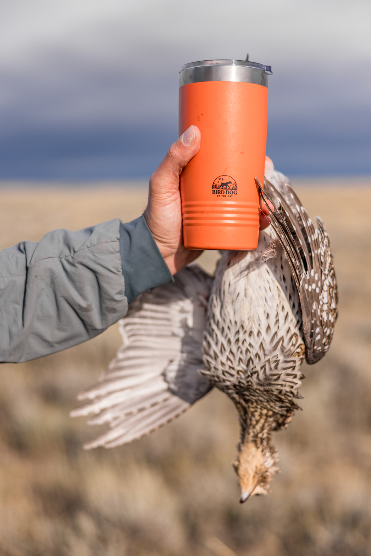Chihua様オーダー　オーストリッチ羽バングル&ターキー羽ポンポンフロート The German Wirehaired Pointer Bird Dog Coffee Tumbler | Bird Dog