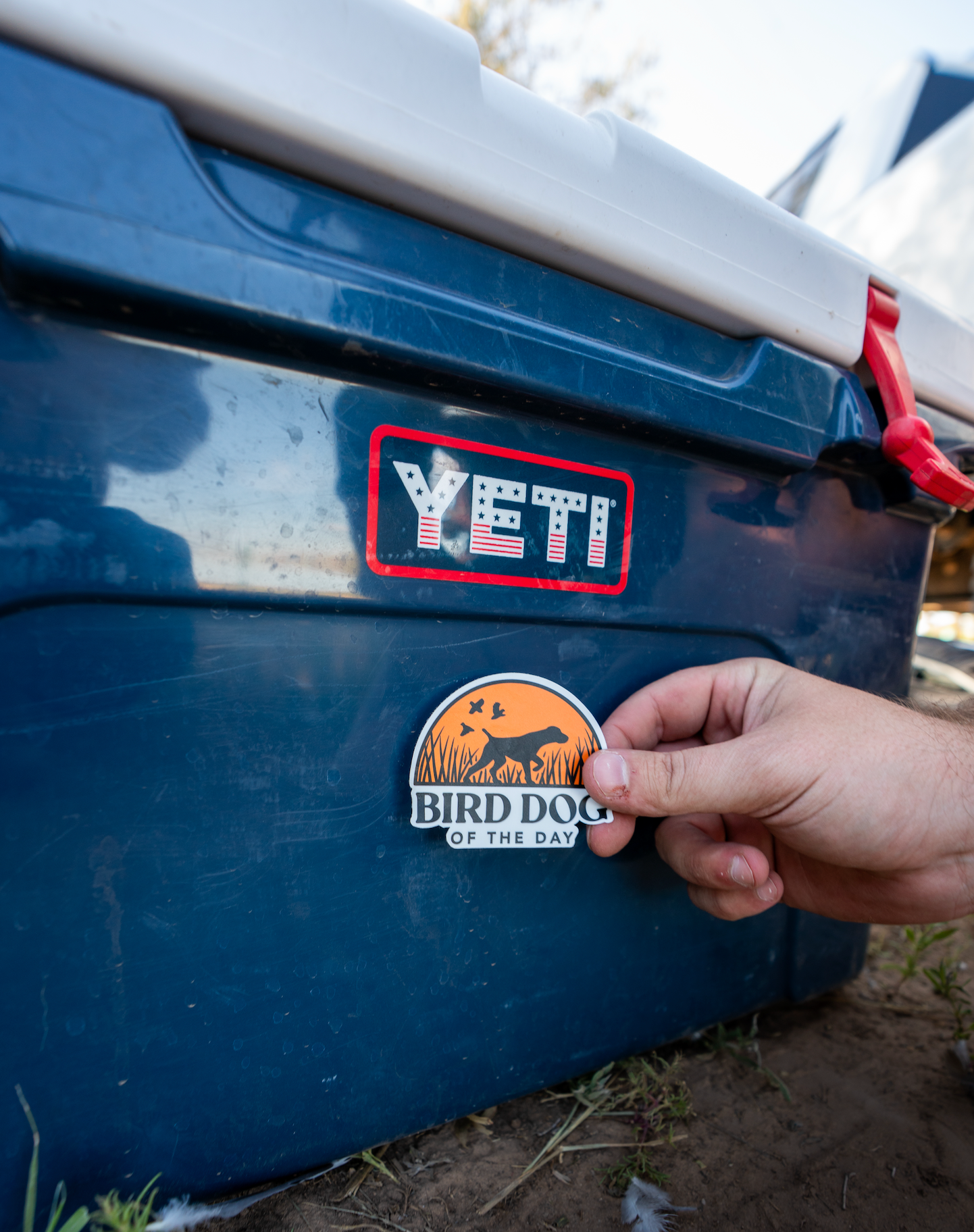Bird Dog of the Day Logo Decal Sticker