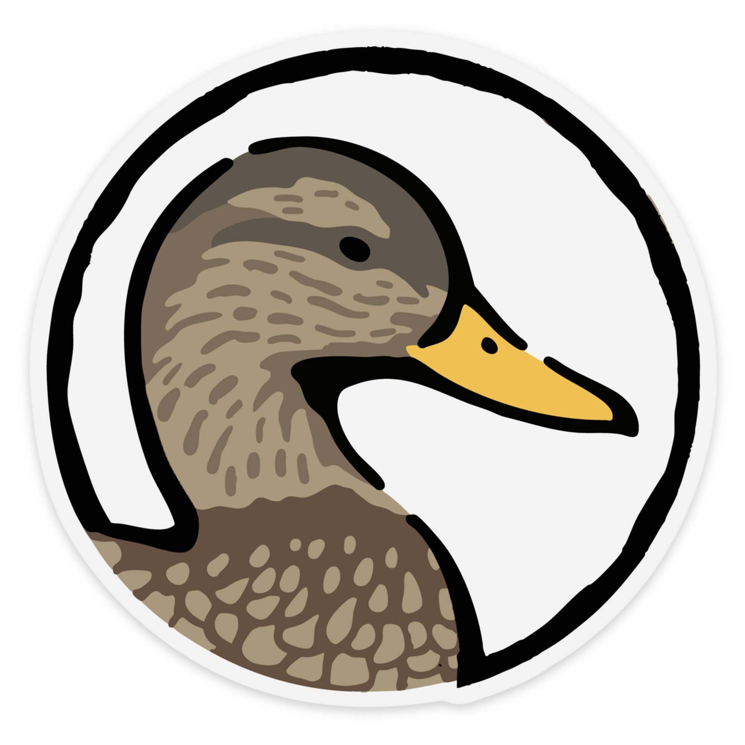 Black Duck