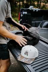 The Labrador Retriever Bird Dog Hat