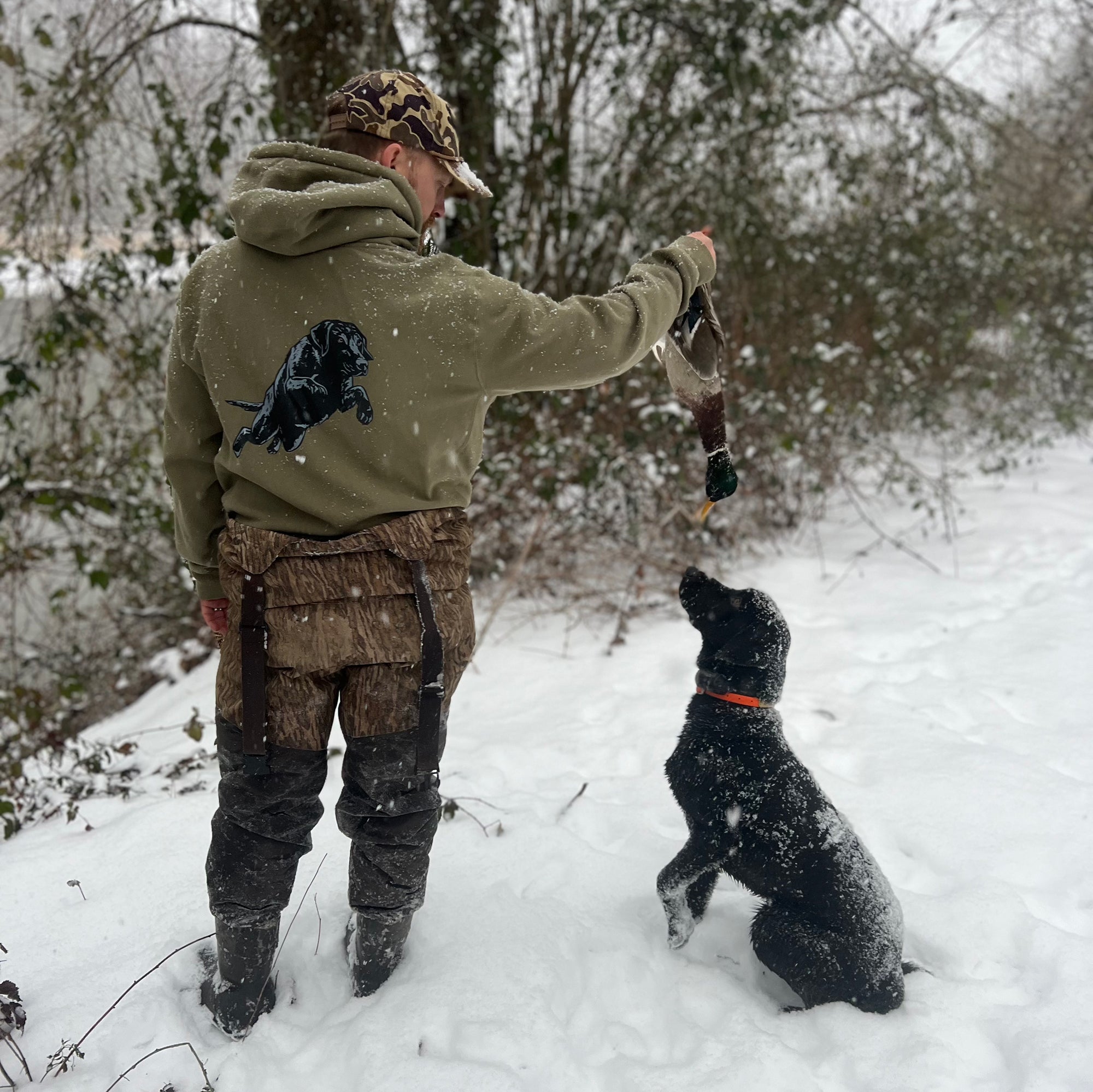 Black Lab Hoodie | Bird Dog of the Day