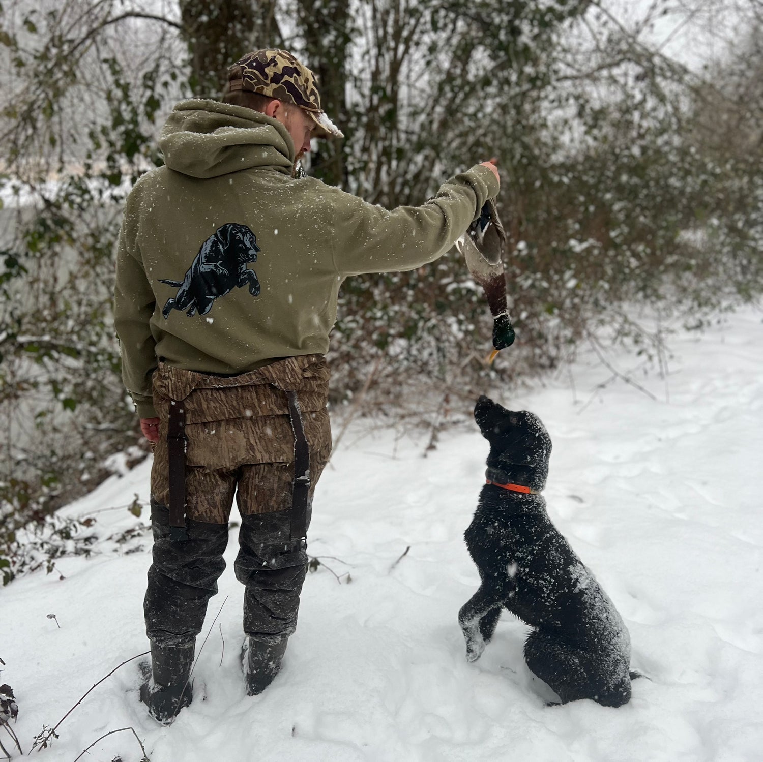 Black Lab Hoodie
