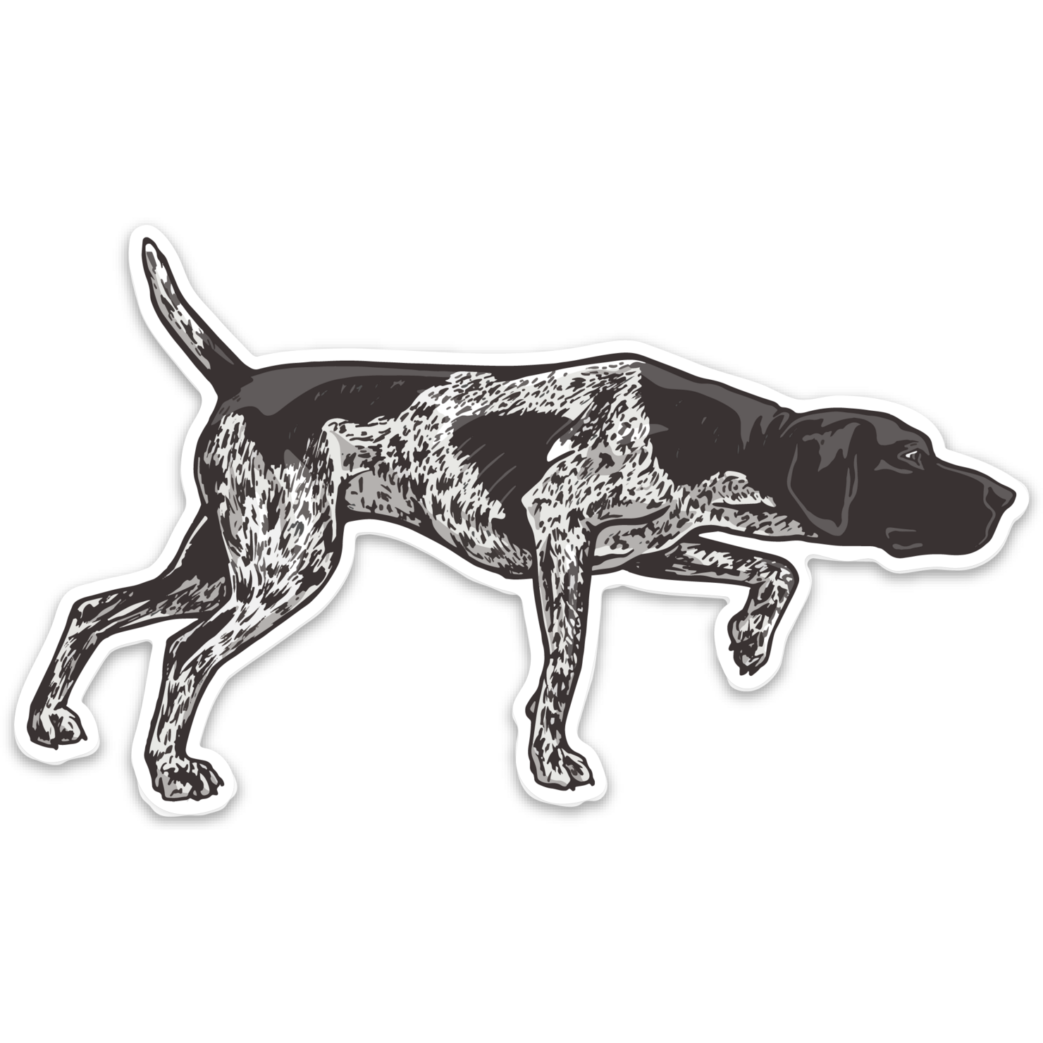 GSP Colors Decal Sticker | Bird Dog of the Day