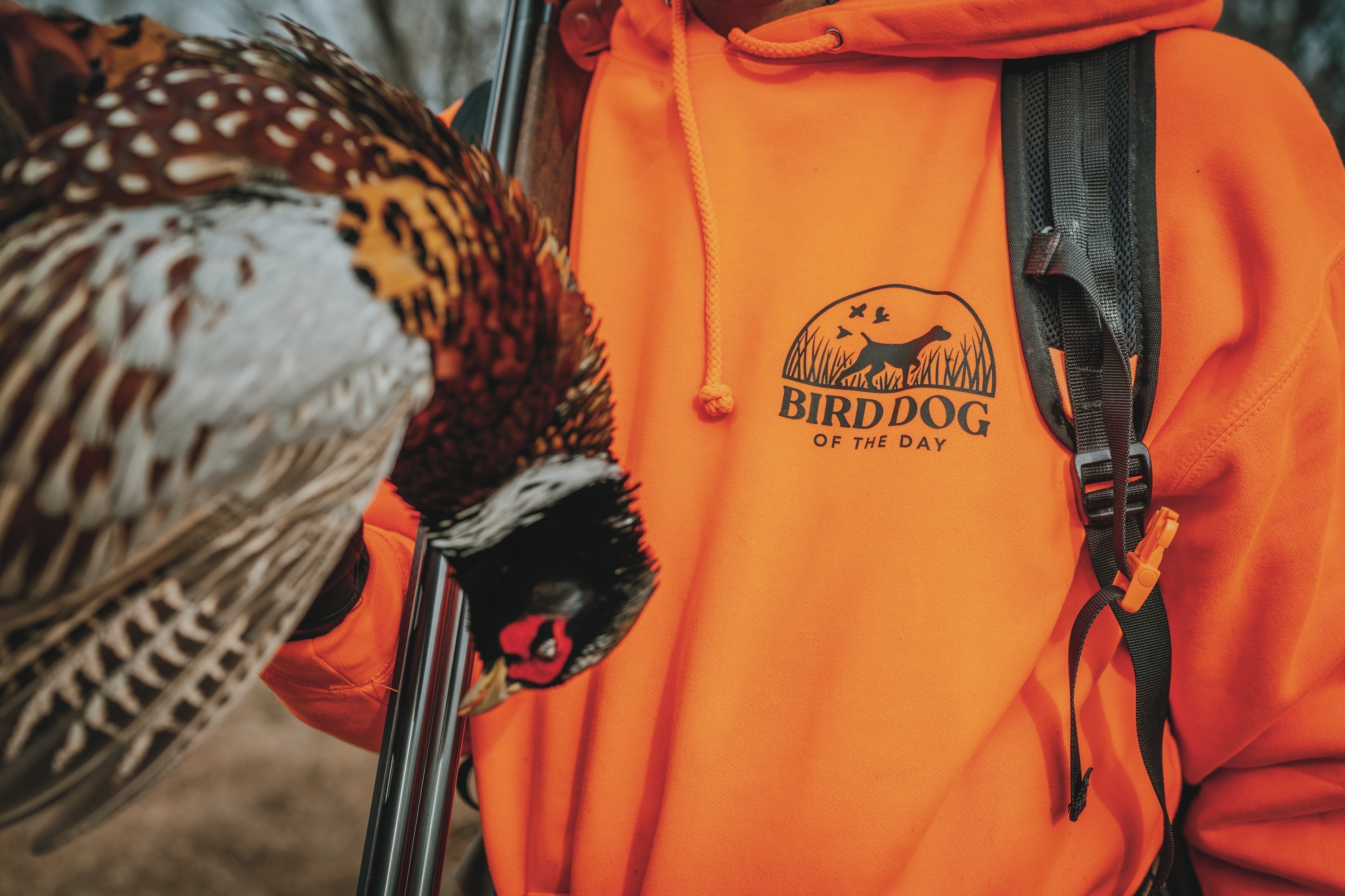 Blaze Orange Hoodie Bird Dog of the Day