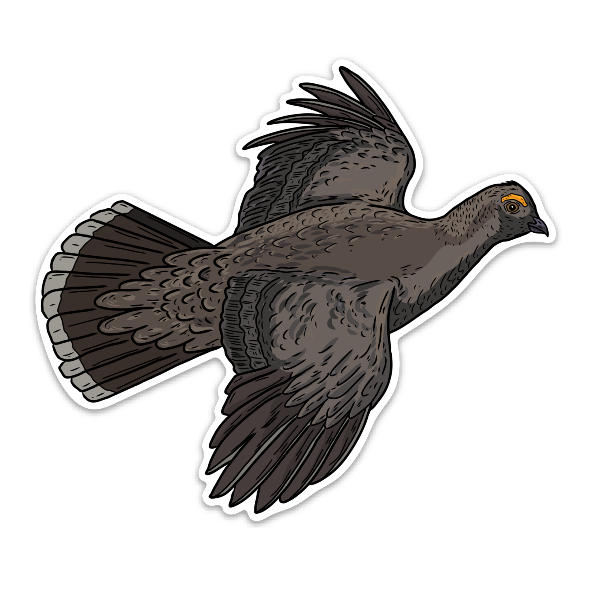 Blue Grouse Decal Sticker | Bird Dog of the Day