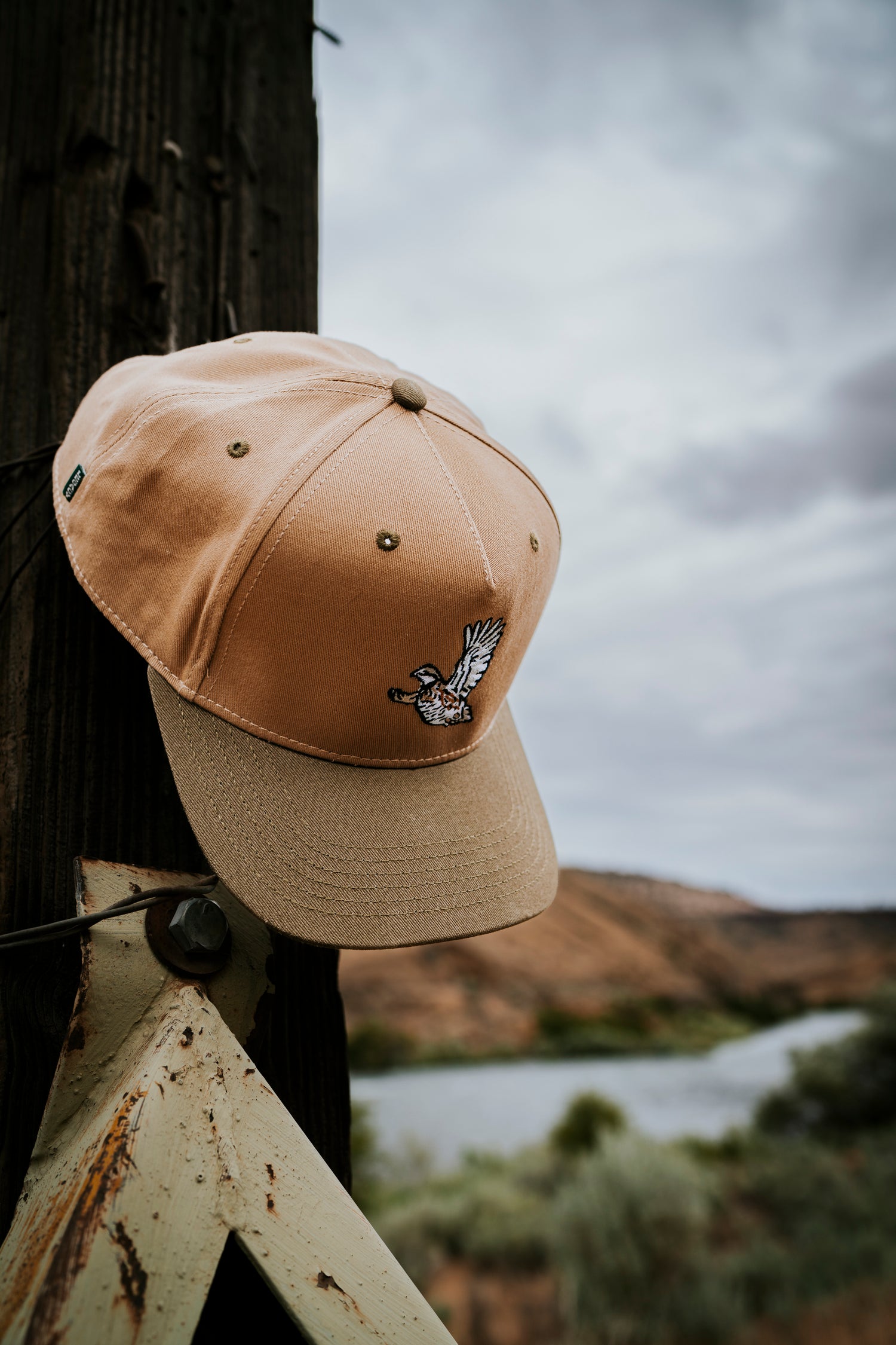 Bobwhite Quail Hat