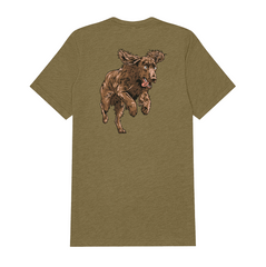 |Olive
