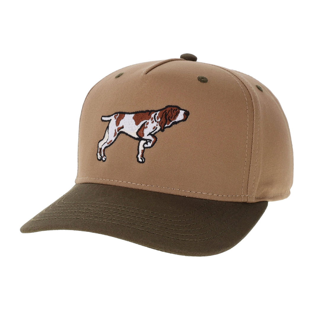 Bracco Italiano Hat | Bird Dog of the Day