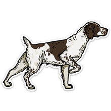 |Liver White Brittany