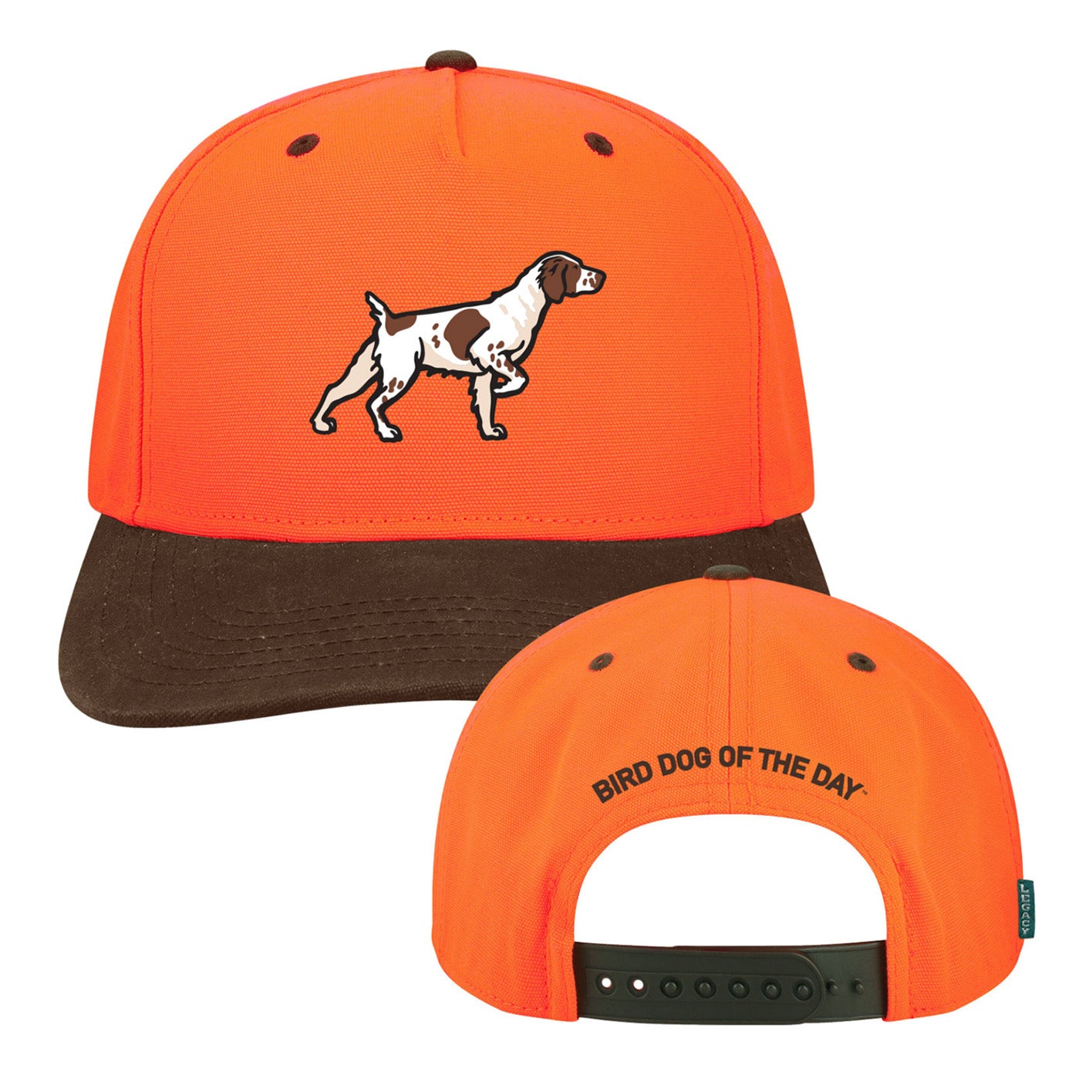 Brittany Hat | Bird Dog of the Day