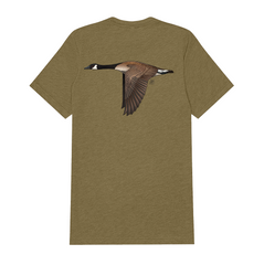 |Olive