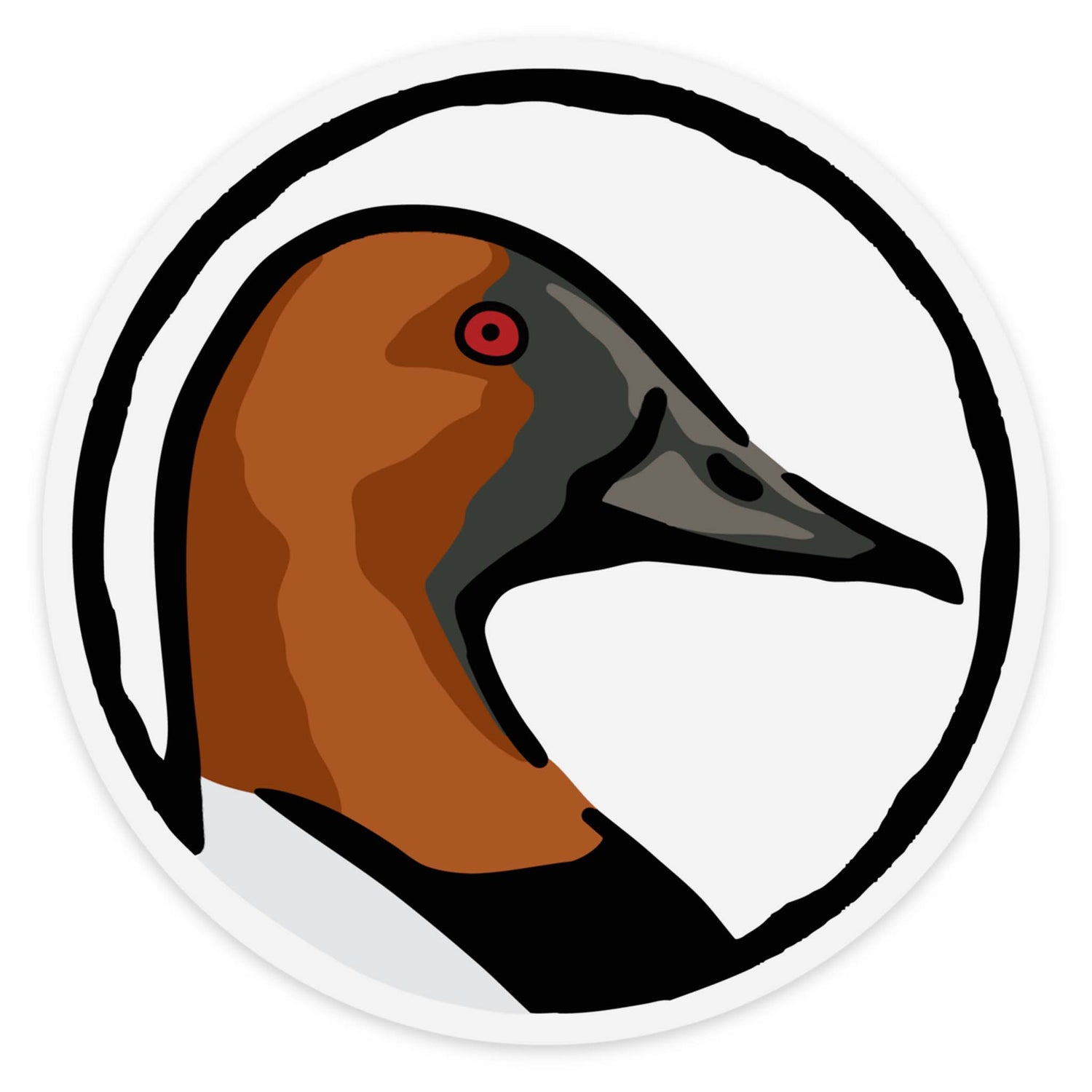 Canvasback