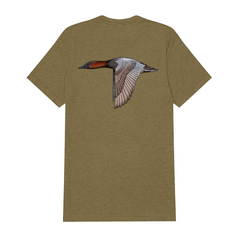 |Olive