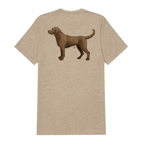 Chesapeake bay retriever merchandise 2025