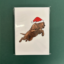 Load image into Gallery viewer, Chocolate Lab Christmas Cards - Set of 12
