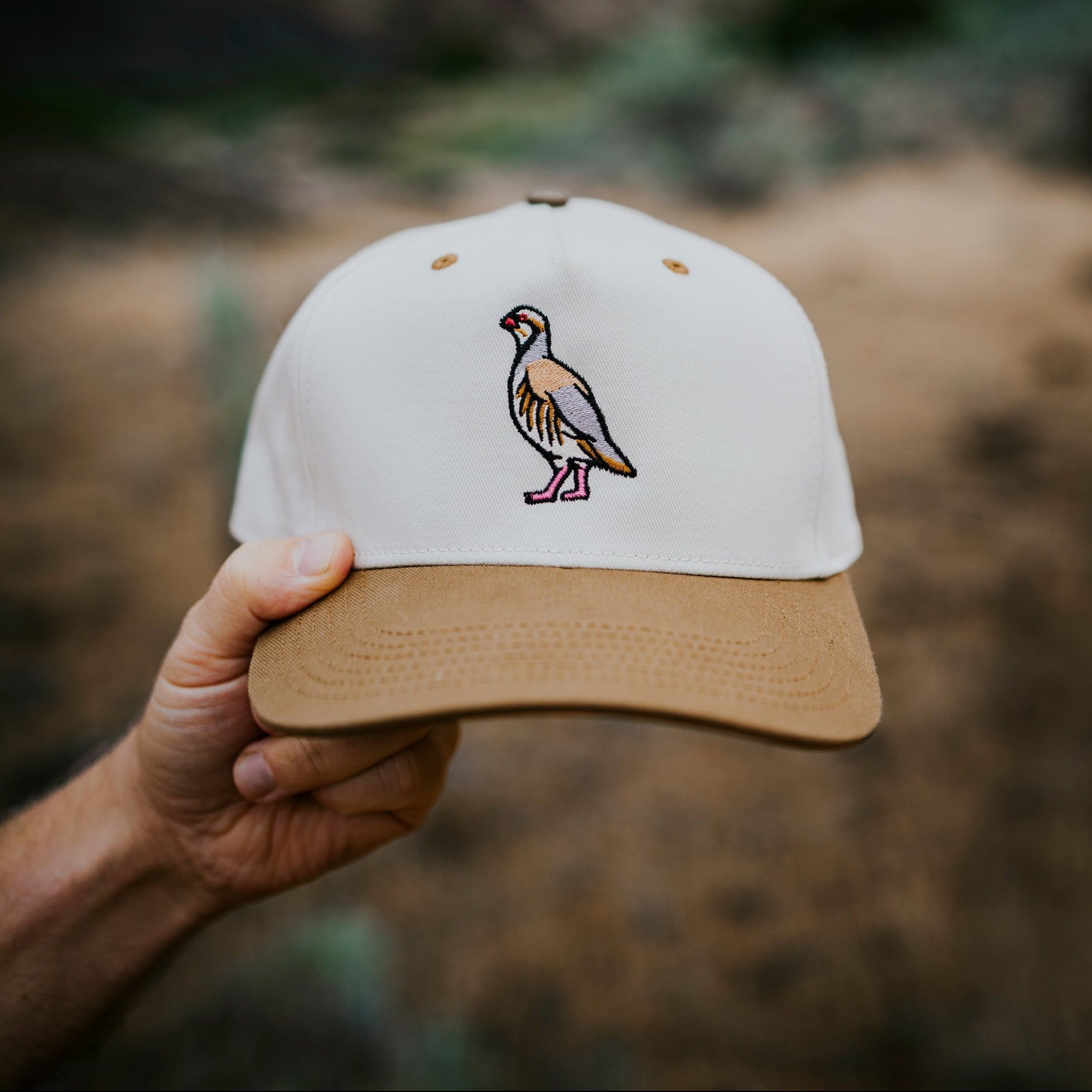 Chukar Hat | Bird Dog of the Day