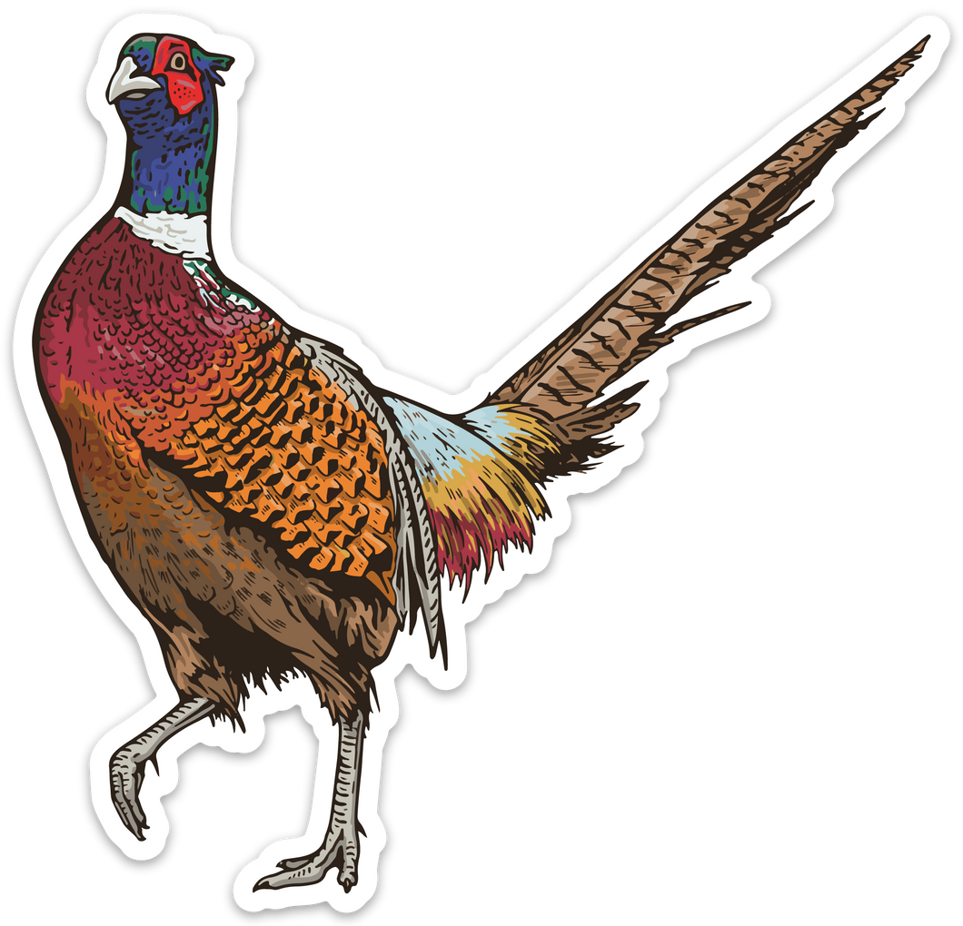 Cocky Pheasant Decal Sticker