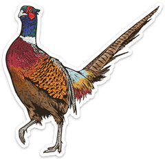 XL Bird Dog and Gamebird Decals