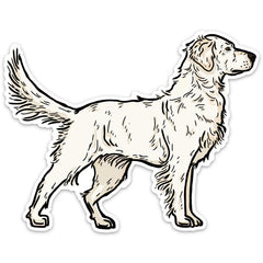 |Cream Golden Retriever