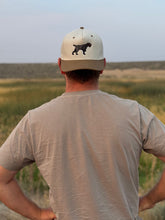 Drahthaar Hat