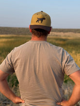 Drahthaar Hat