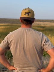 Drahthaar Hat