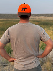 Drahthaar Hat