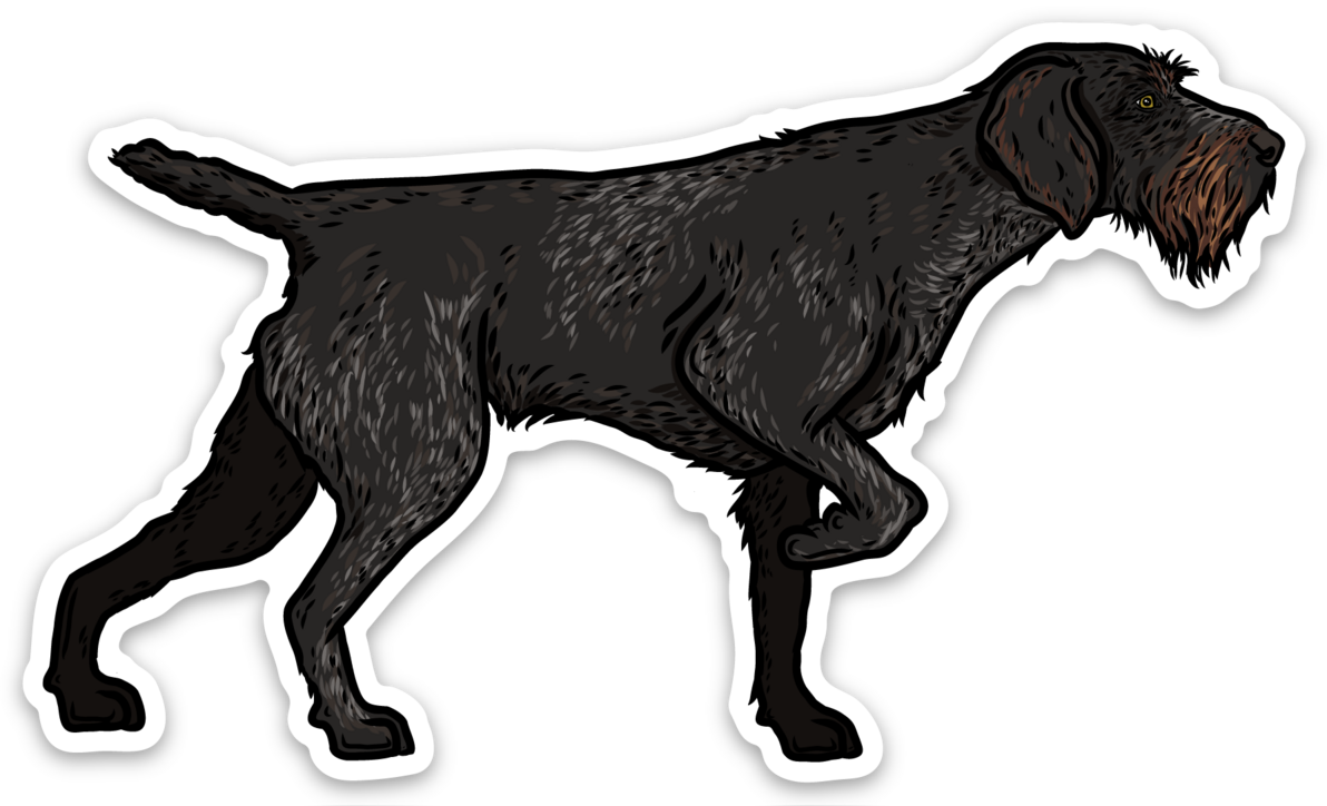 Deutsch-Drahthaar Decal Sticker