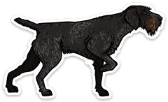 Deutsch-Drahthaar Decal Sticker