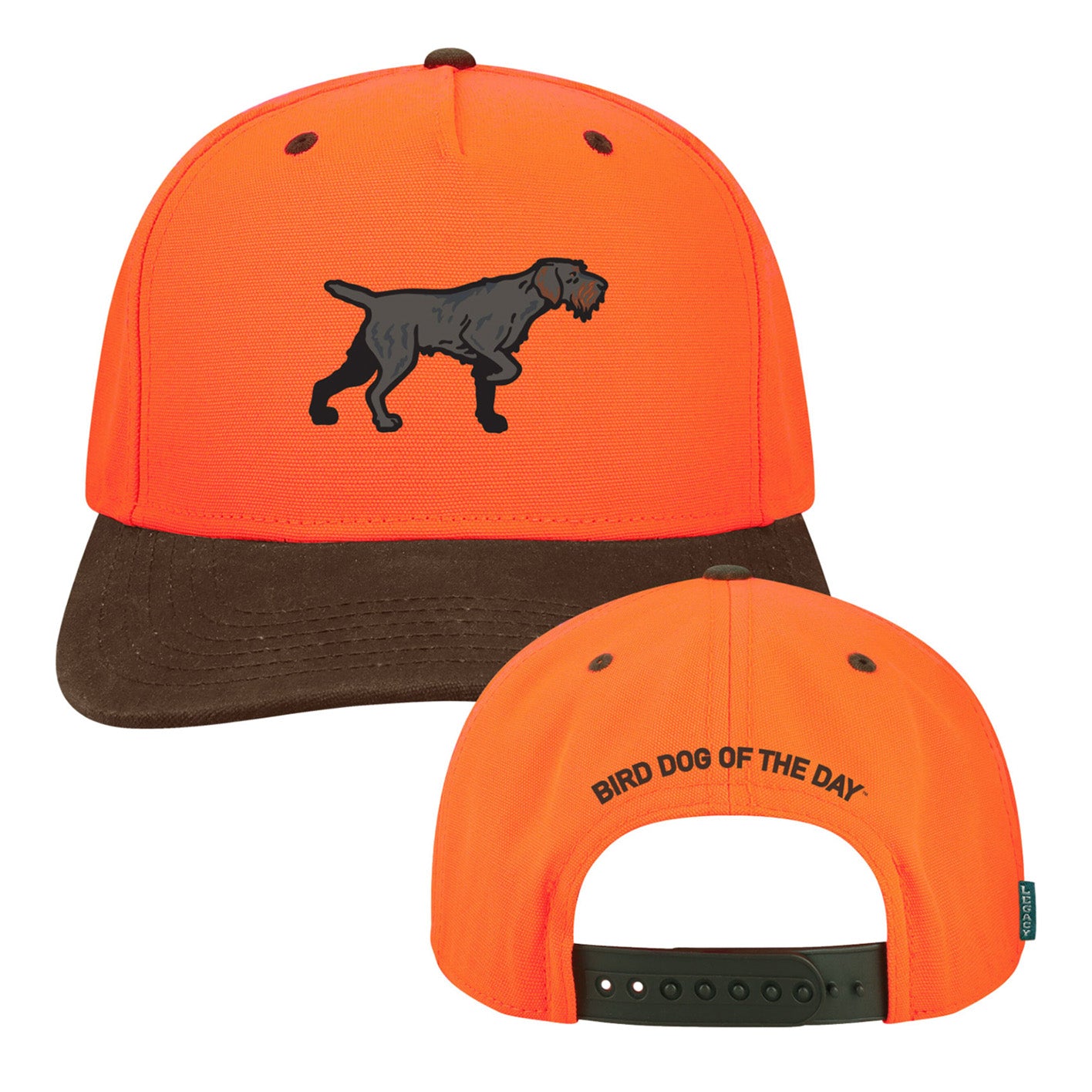 Drahthaar Hat