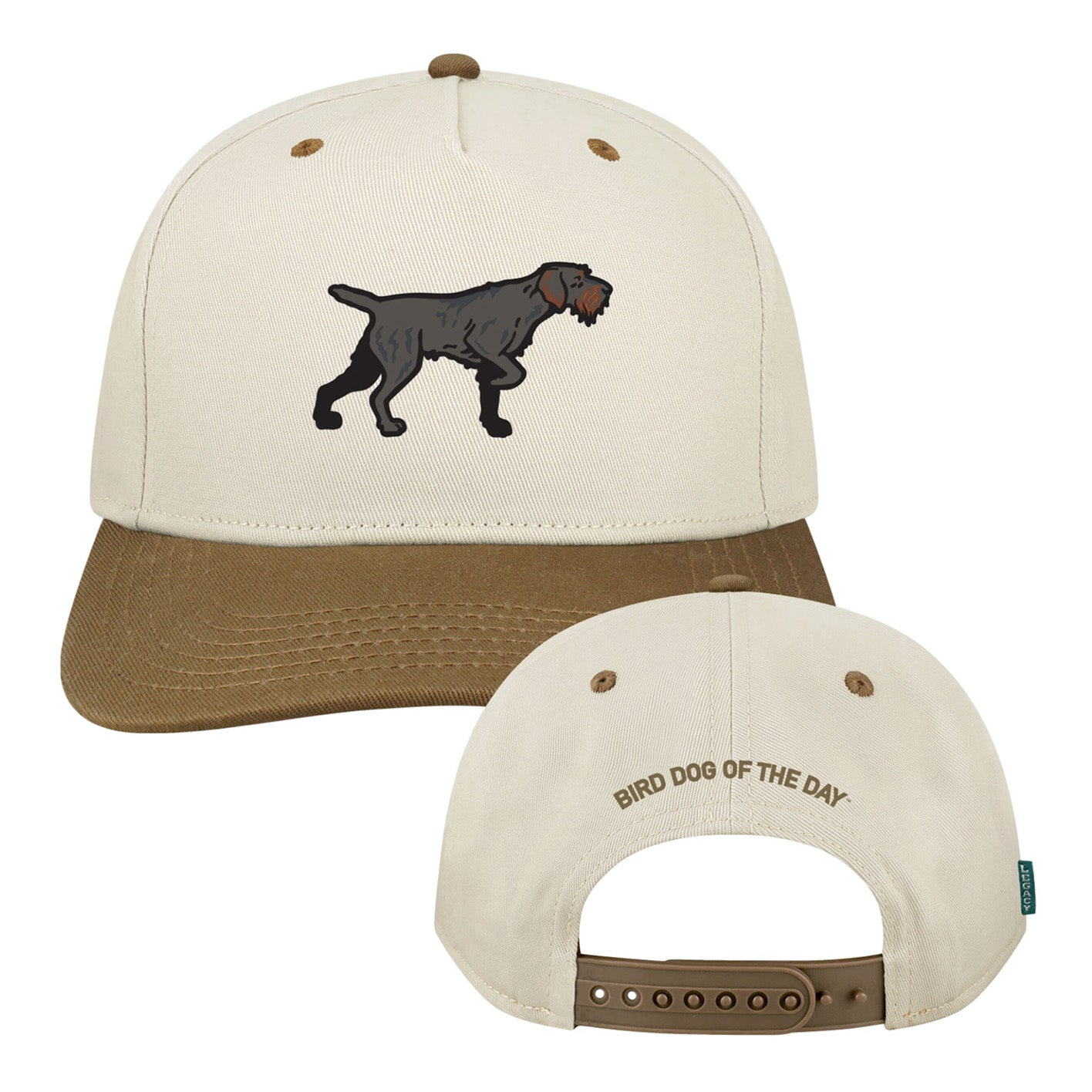 Drahthaar Hat