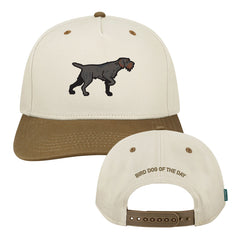 Drahthaar Hat