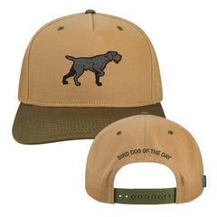Drahthaar Hat