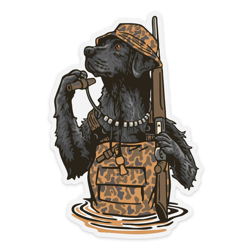 |Black Labrador