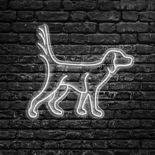 Load image into Gallery viewer, English Setter Locked Up Neon Sign
