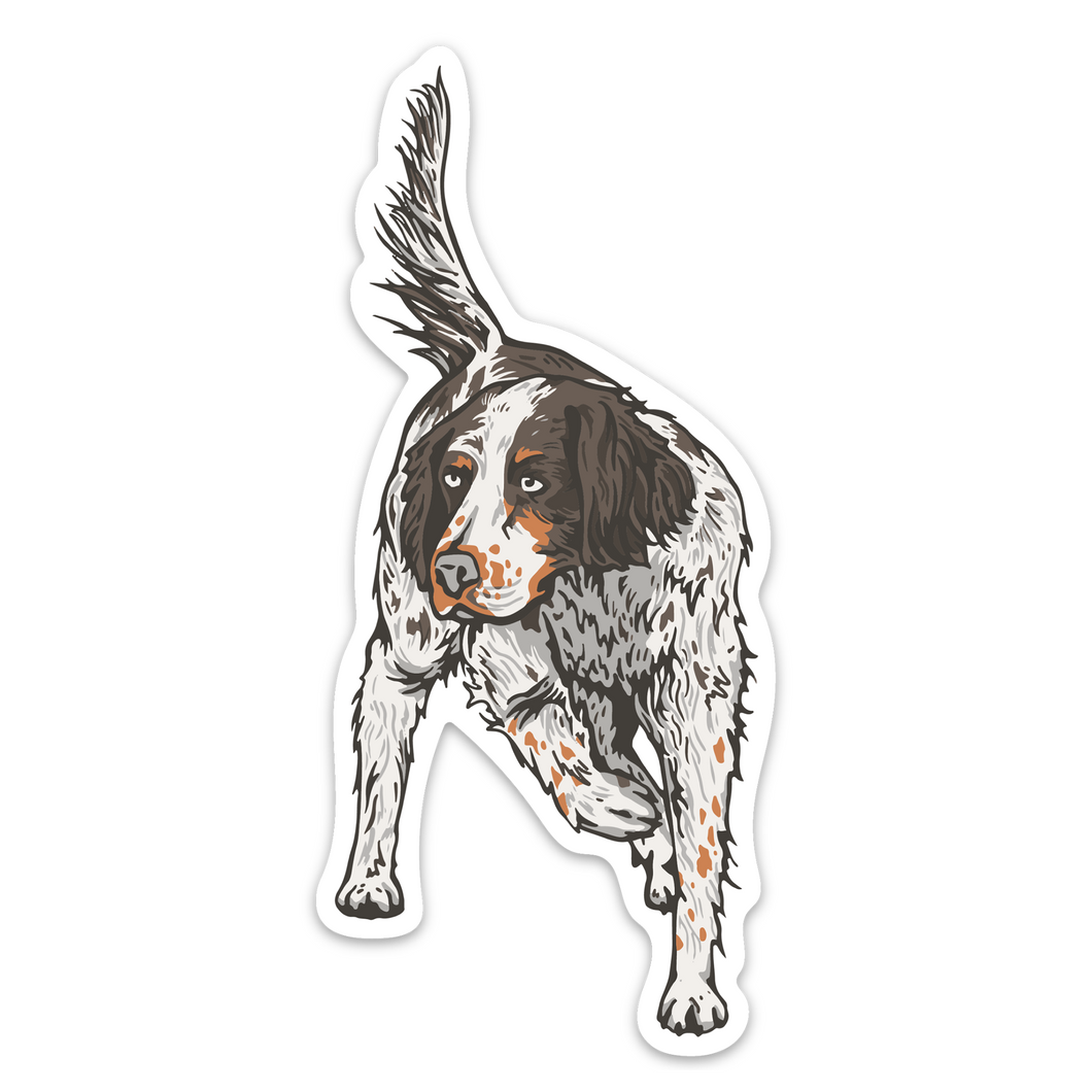 English Setter Pointing Decal Sticker