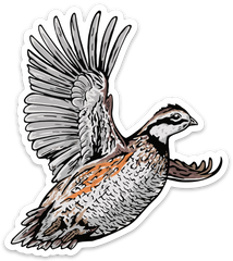 Fly Like Quail Decal Sticker