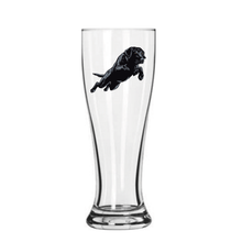 Load image into Gallery viewer, Flying Lab Pilsner Glass
