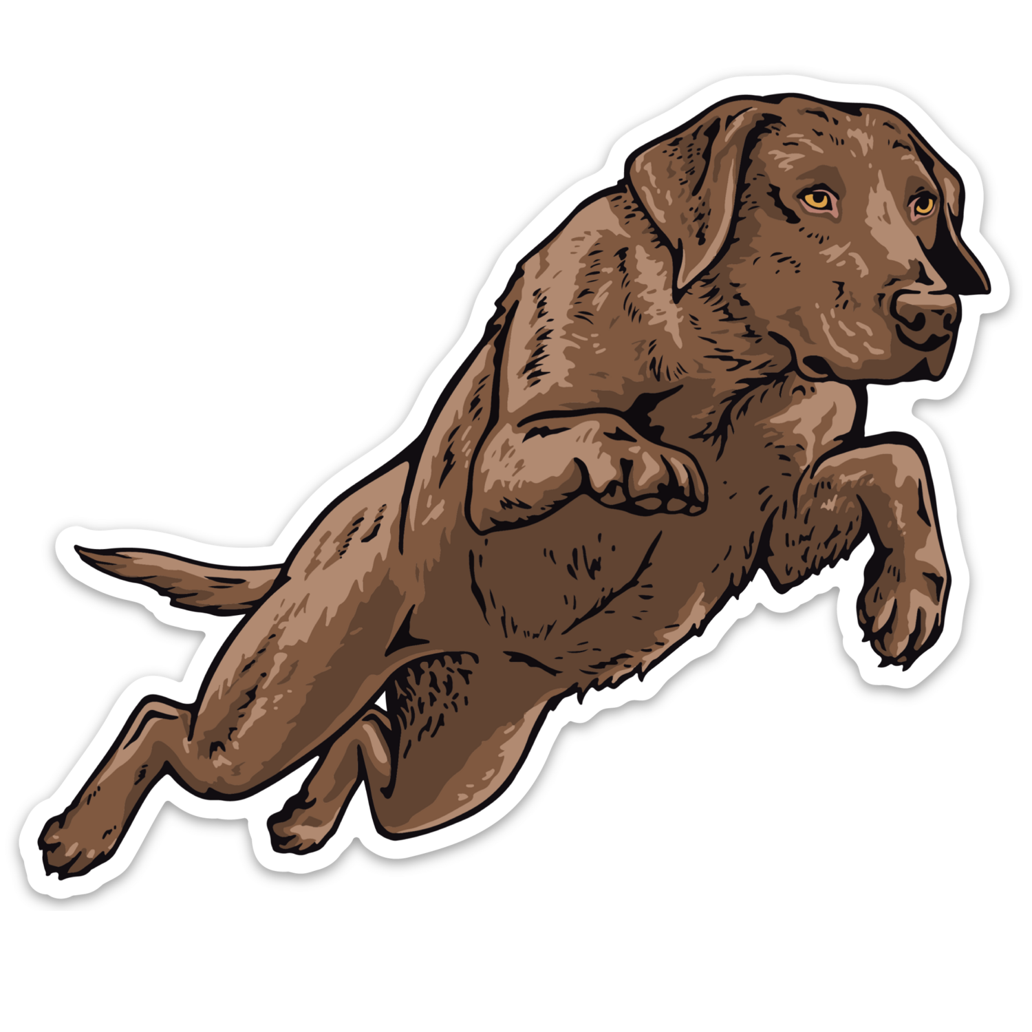 Chocolate hot sale lab decal